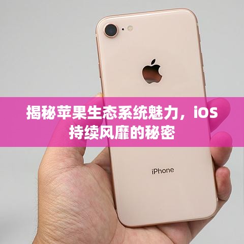 揭秘蘋果生態(tài)系統(tǒng)魅力，iOS持續(xù)風靡的秘密