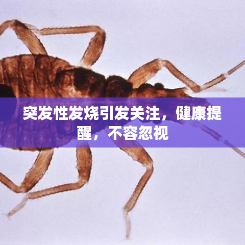 突發(fā)性發(fā)燒引發(fā)關(guān)注，健康提醒，不容忽視