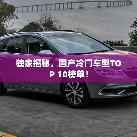 獨(dú)家揭秘，國產(chǎn)冷門車型TOP 10榜單！