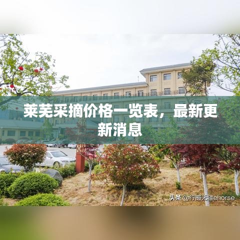 萊蕪采摘價(jià)格一覽表，最新更新消息