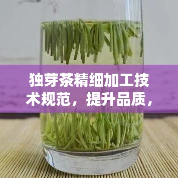 獨(dú)芽茶精細(xì)加工技術(shù)規(guī)范，提升品質(zhì)，百度收錄必備指南