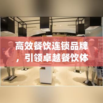 高效餐飲連鎖品牌，引領(lǐng)卓越餐飲體驗新標(biāo)桿