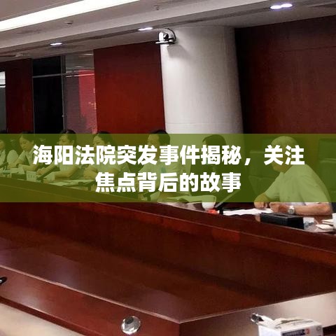 海陽法院突發(fā)事件揭秘，關(guān)注焦點(diǎn)背后的故事