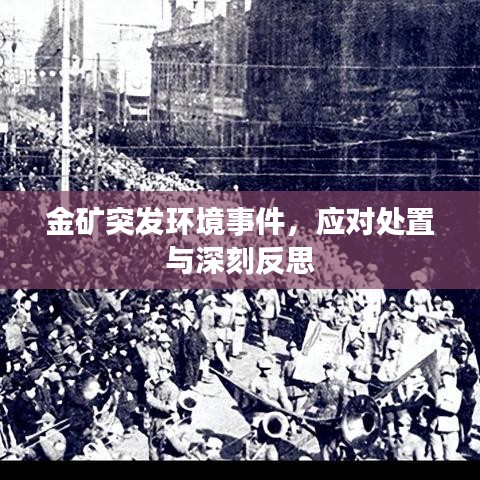 金礦突發(fā)環(huán)境事件，應(yīng)對處置與深刻反思