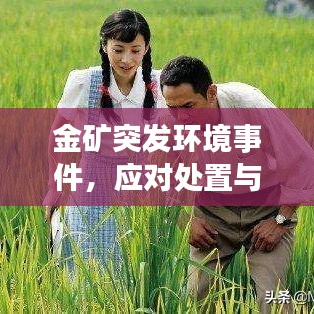 金礦突發(fā)環(huán)境事件,應(yīng)對處置與深刻反思