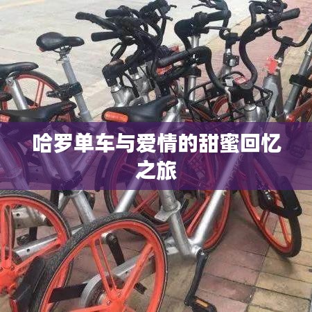 哈羅單車與愛(ài)情的甜蜜回憶之旅