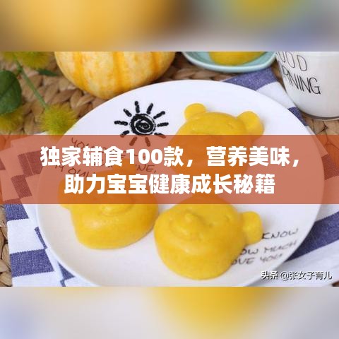 獨(dú)家輔食100款，營(yíng)養(yǎng)美味，助力寶寶健康成長(zhǎng)秘籍