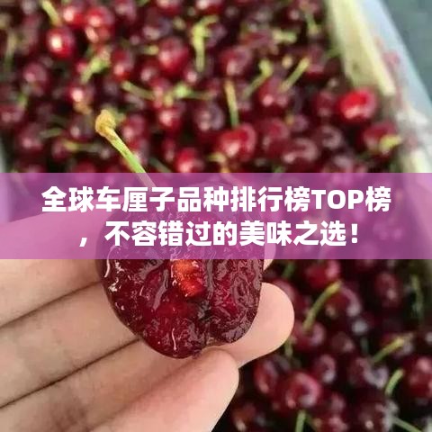 全球車厘子品種排行榜TOP榜，不容錯過的美味之選！