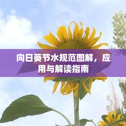 向日葵節(jié)水規(guī)范圖解，應(yīng)用與解讀指南