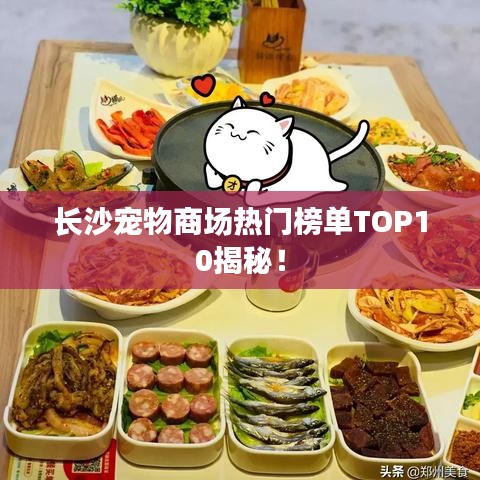 長沙寵物商場熱門榜單TOP10揭秘！