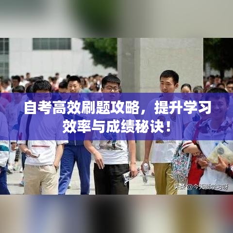 自考高效刷題攻略，提升學習效率與成績秘訣！