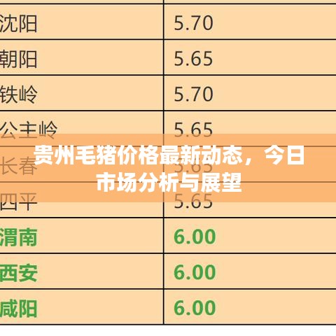 貴州毛豬價(jià)格最新動(dòng)態(tài)，今日市場分析與展望