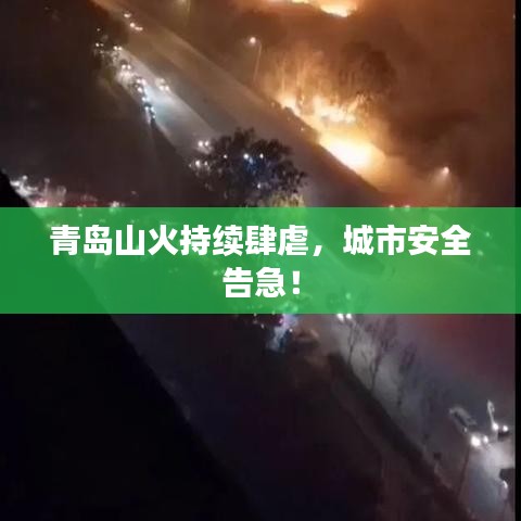 青島山火持續(xù)肆虐，城市安全告急！