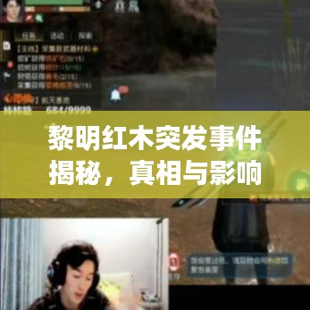 黎明紅木突發(fā)事件揭秘，真相與影響探究