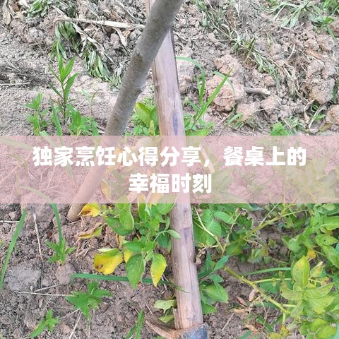 獨家烹飪心得分享，餐桌上的幸福時刻