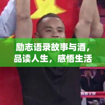 勵(lì)志語錄故事與酒，品讀人生，感悟生活力量
