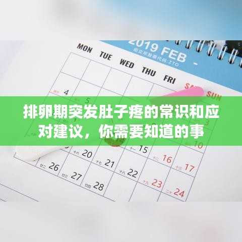 排卵期突發(fā)肚子疼的常識和應對建議，你需要知道的事