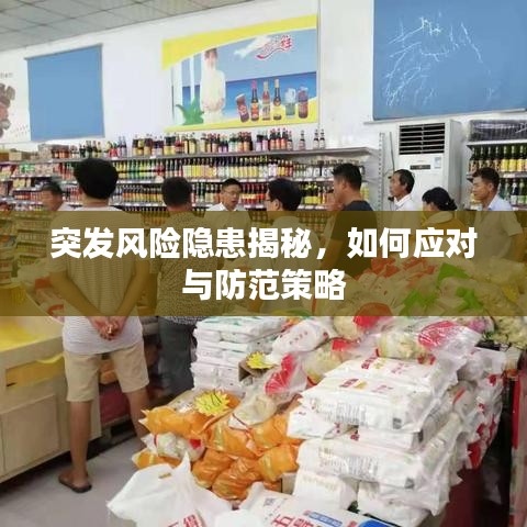 突發(fā)風(fēng)險(xiǎn)隱患揭秘，如何應(yīng)對(duì)與防范策略