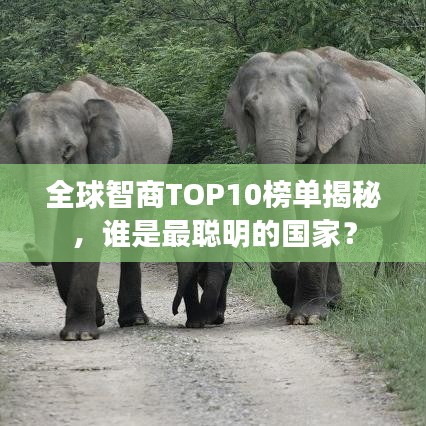 全球智商TOP10榜單揭秘，誰(shuí)是最聰明的國(guó)家？
