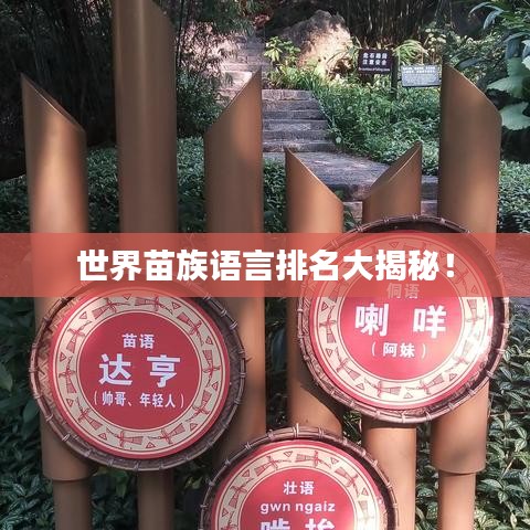 世界苗族語言排名大揭秘！