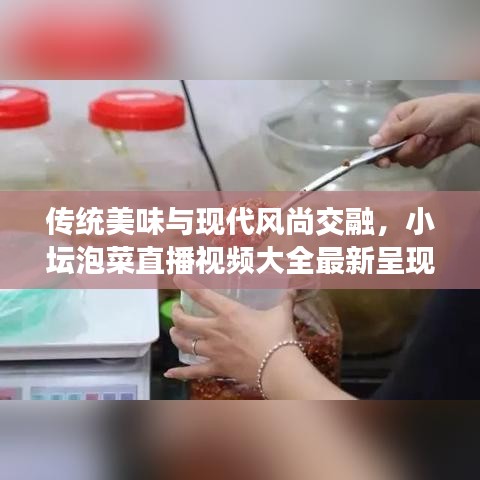 傳統(tǒng)美味與現(xiàn)代風尚交融，小壇泡菜直播視頻大全最新呈現(xiàn)