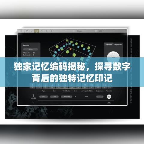 獨(dú)家記憶編碼揭秘，探尋數(shù)字背后的獨(dú)特記憶印記