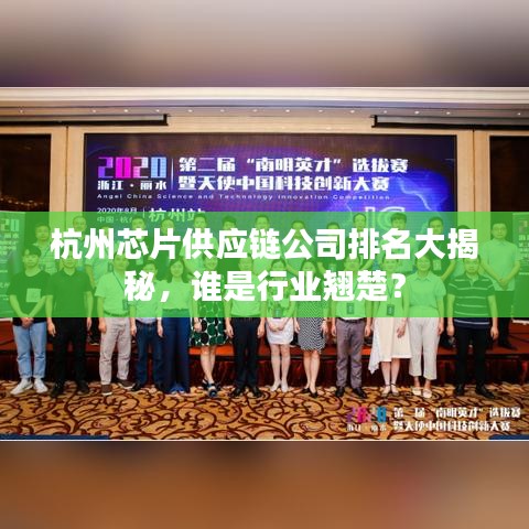 杭州芯片供應(yīng)鏈公司排名大揭秘，誰(shuí)是行業(yè)翹楚？