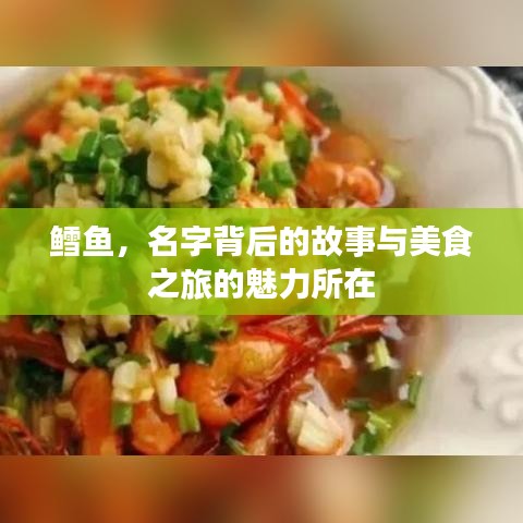 鱈魚，名字背后的故事與美食之旅的魅力所在