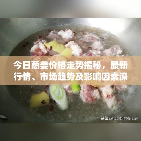 今日蔥姜價(jià)格走勢(shì)揭秘，最新行情、市場(chǎng)趨勢(shì)及影響因素深度解析