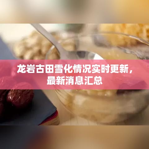 龍巖古田雪化情況實(shí)時(shí)更新，最新消息匯總