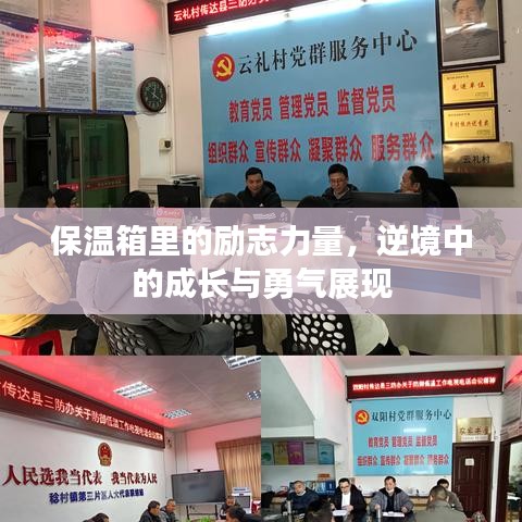 保溫箱里的勵(lì)志力量，逆境中的成長(zhǎng)與勇氣展現(xiàn)