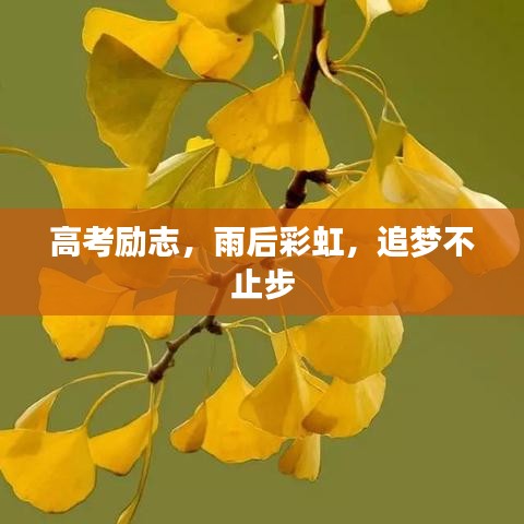高考勵(lì)志,雨后彩虹,追夢不止步
