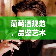 葡萄酒規(guī)范，品鑒藝術(shù)、禮儀傳承與文化深度解讀