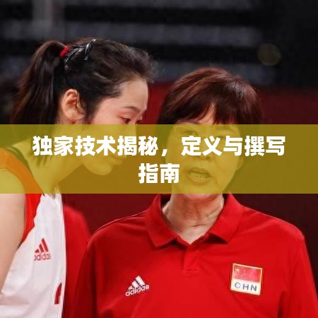 獨(dú)家技術(shù)揭秘，定義與撰寫指南