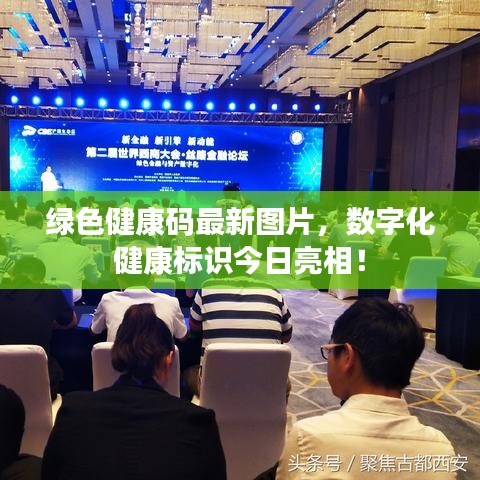 綠色健康碼最新圖片，數(shù)字化健康標識今日亮相！