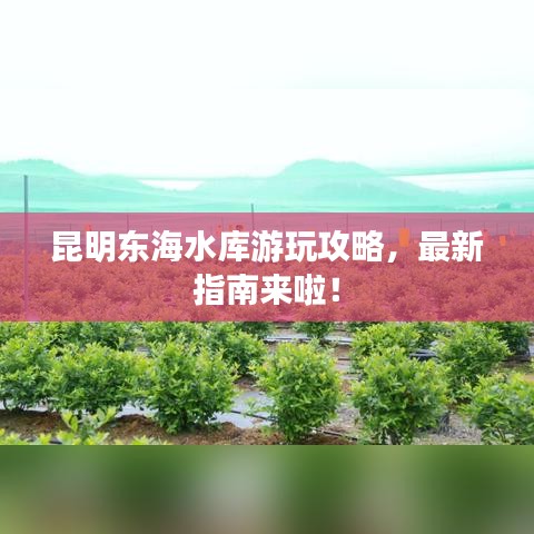 昆明東海水庫(kù)游玩攻略，最新指南來(lái)啦！
