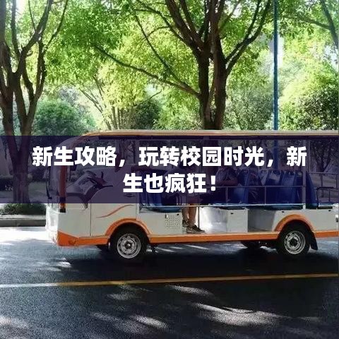 新生攻略，玩轉(zhuǎn)校園時光，新生也瘋狂！