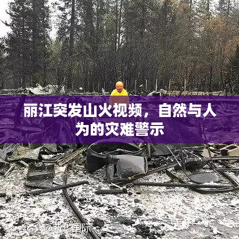 麗江突發(fā)山火視頻，自然與人為的災(zāi)難警示