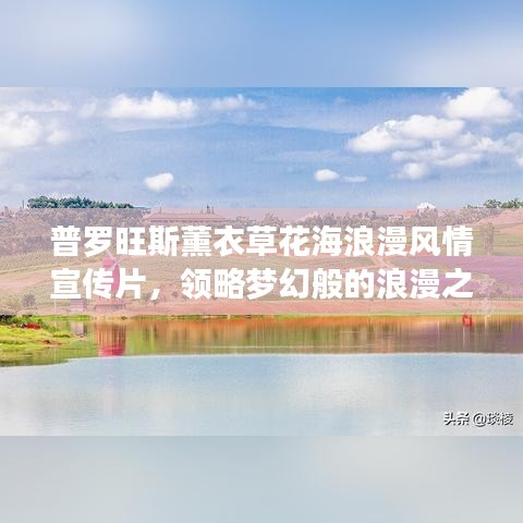 普羅旺斯薰衣草花海浪漫風情宣傳片，領(lǐng)略夢幻般的浪漫之旅！