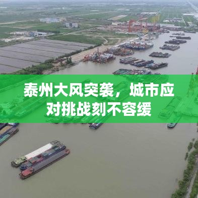 泰州大風(fēng)突襲，城市應(yīng)對挑戰(zhàn)刻不容緩