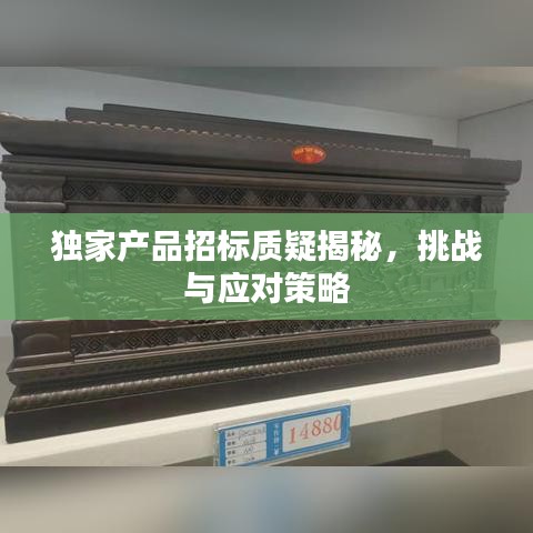獨家產(chǎn)品招標質疑揭秘，挑戰(zhàn)與應對策略