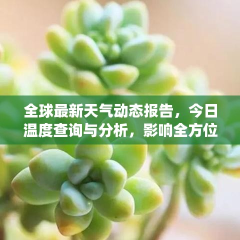 全球最新天氣動態(tài)報告，今日溫度查詢與分析，影響全方位解讀