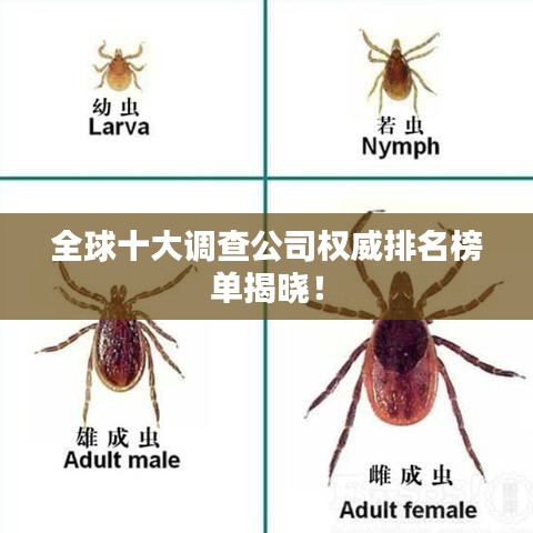 全球十大調(diào)查公司權(quán)威排名榜單揭曉！