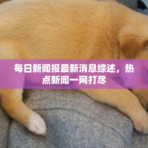 每日新聞報最新消息綜述，熱點新聞一網(wǎng)打盡